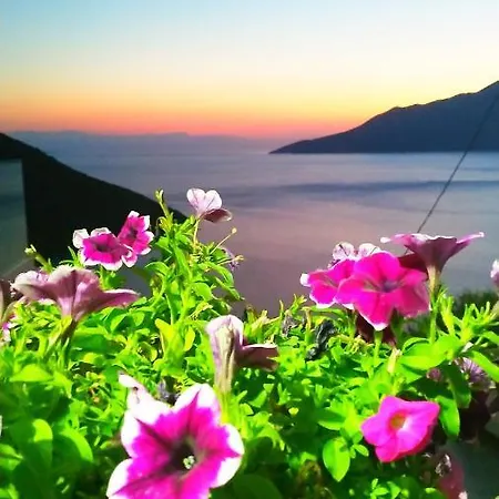 Apartamento Alkyon Agios Vasilios (Boeotia)